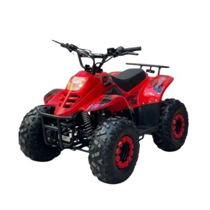 صورة دباب بنزين قوي 110cc
